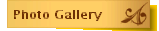Photo Gallery